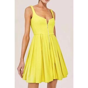 NWT Alexis Jody Sleeveless V-Neck Zip Up Mini Fit & Flare Dress Sol Womens Small